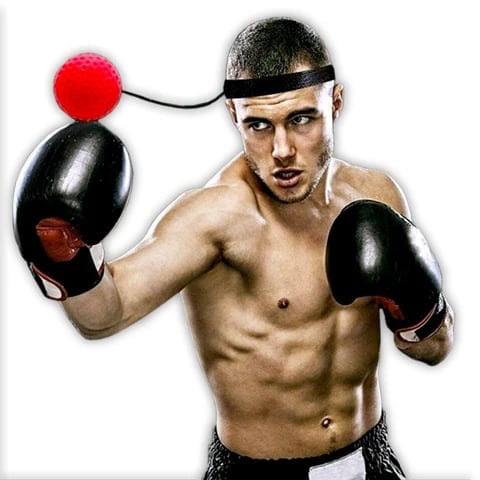 Boxing Reflex Ball Headband